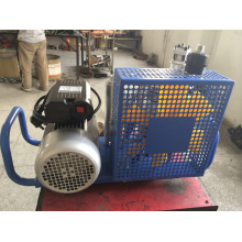 Igh Pressure Scuba Diving Compressor Breathing Paintball Compressor (GX100/E2)